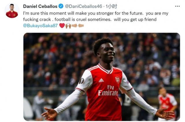 并分析他们 并分析他们